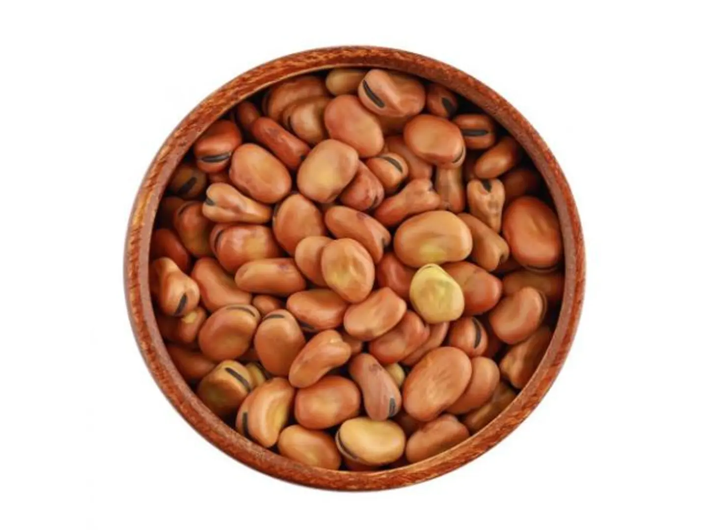 Egyptian Whole Fava Beans 1 Kilo