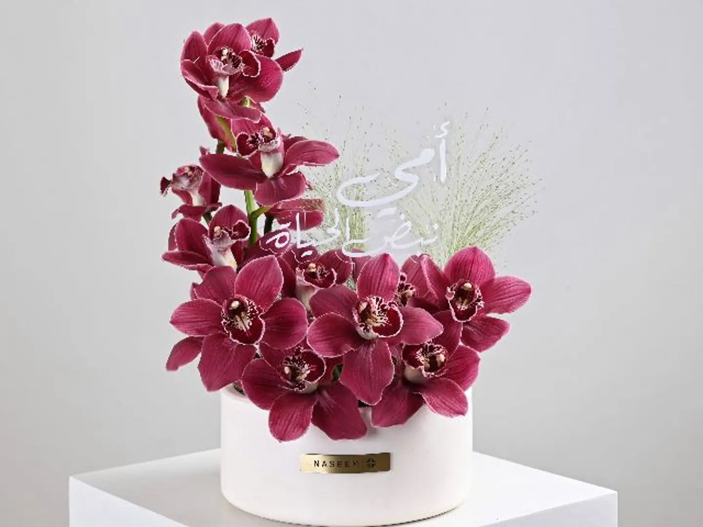 فازة الجمال البرغندي للأم