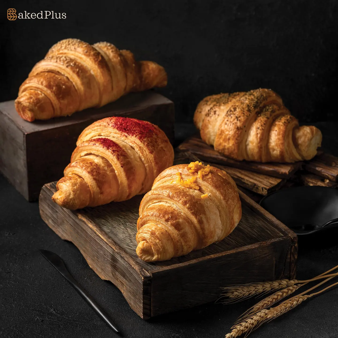 Cheese Croissant