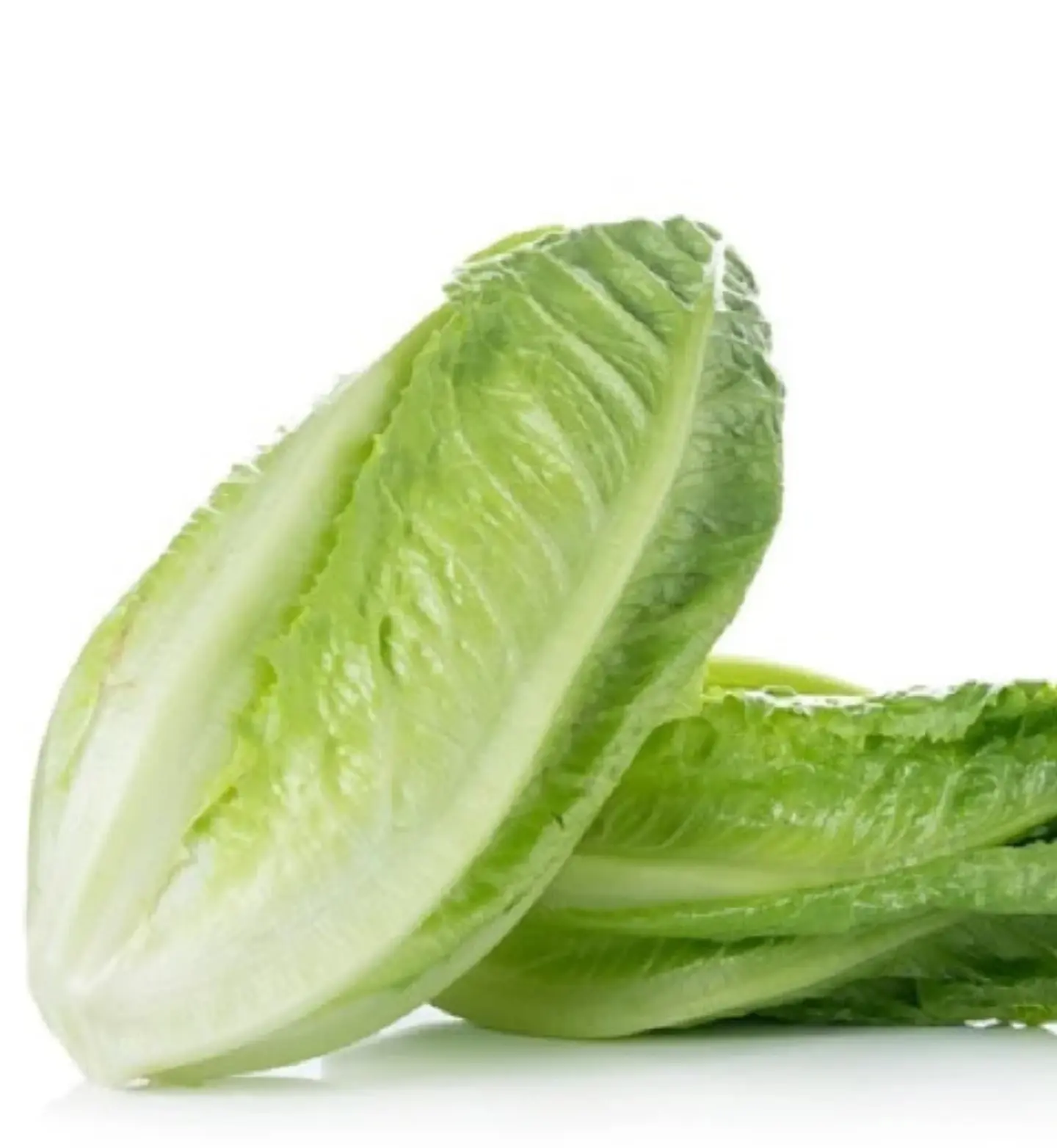 خس بلدي حبة