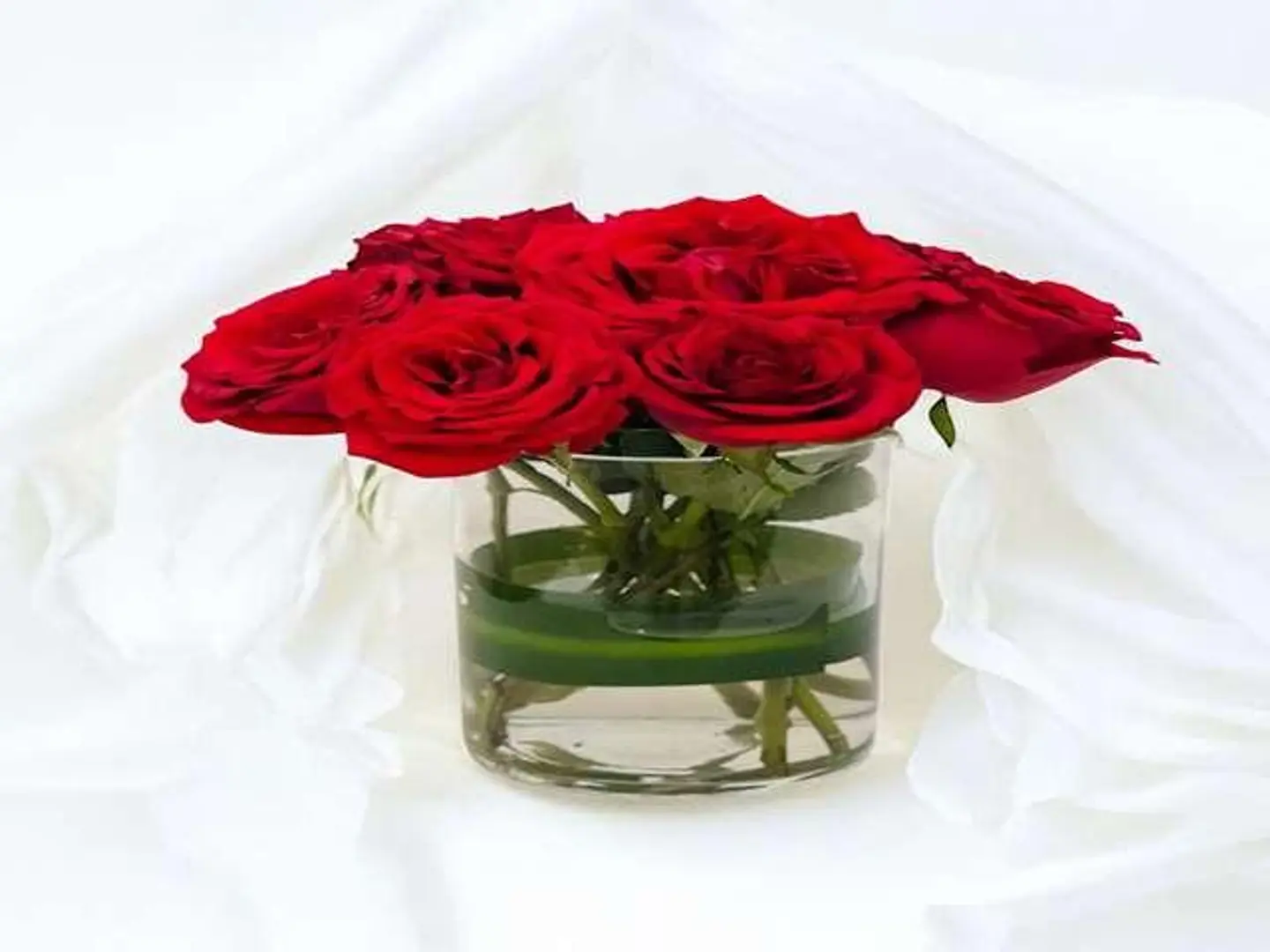 اف زيرو فايف