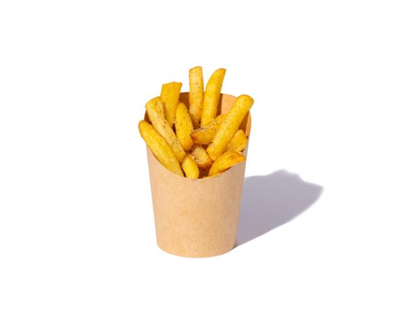Seasoned Fries