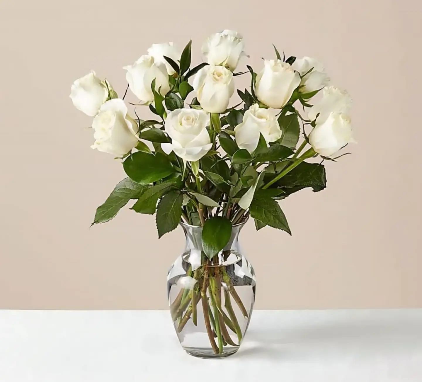 Vase Of Serenity 1