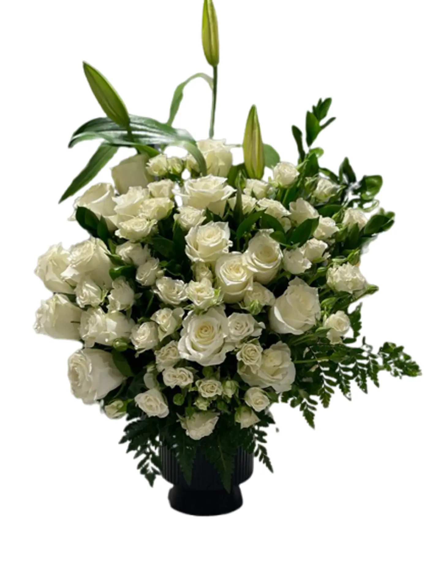 You Are A Rose Flower Vazza 0008