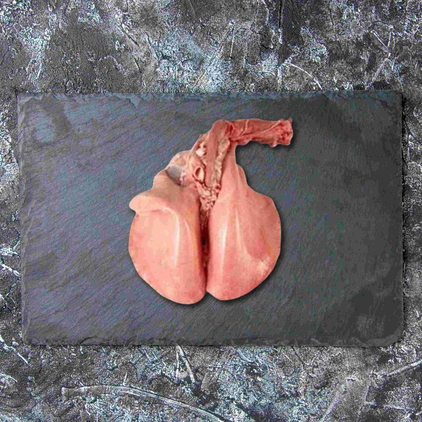 Sheep Lung