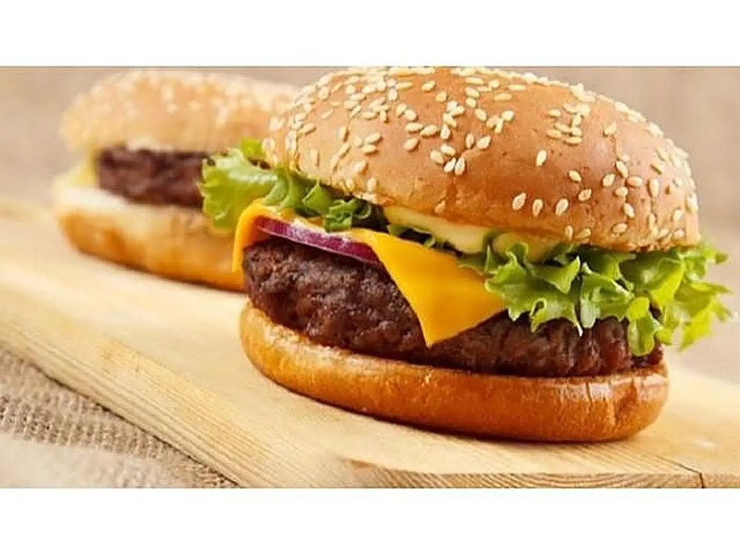 Regular Beef Hamburger
