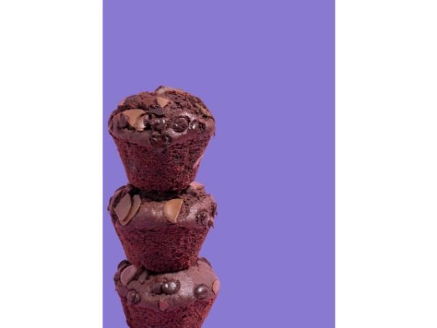 Double Chocolate Muffin