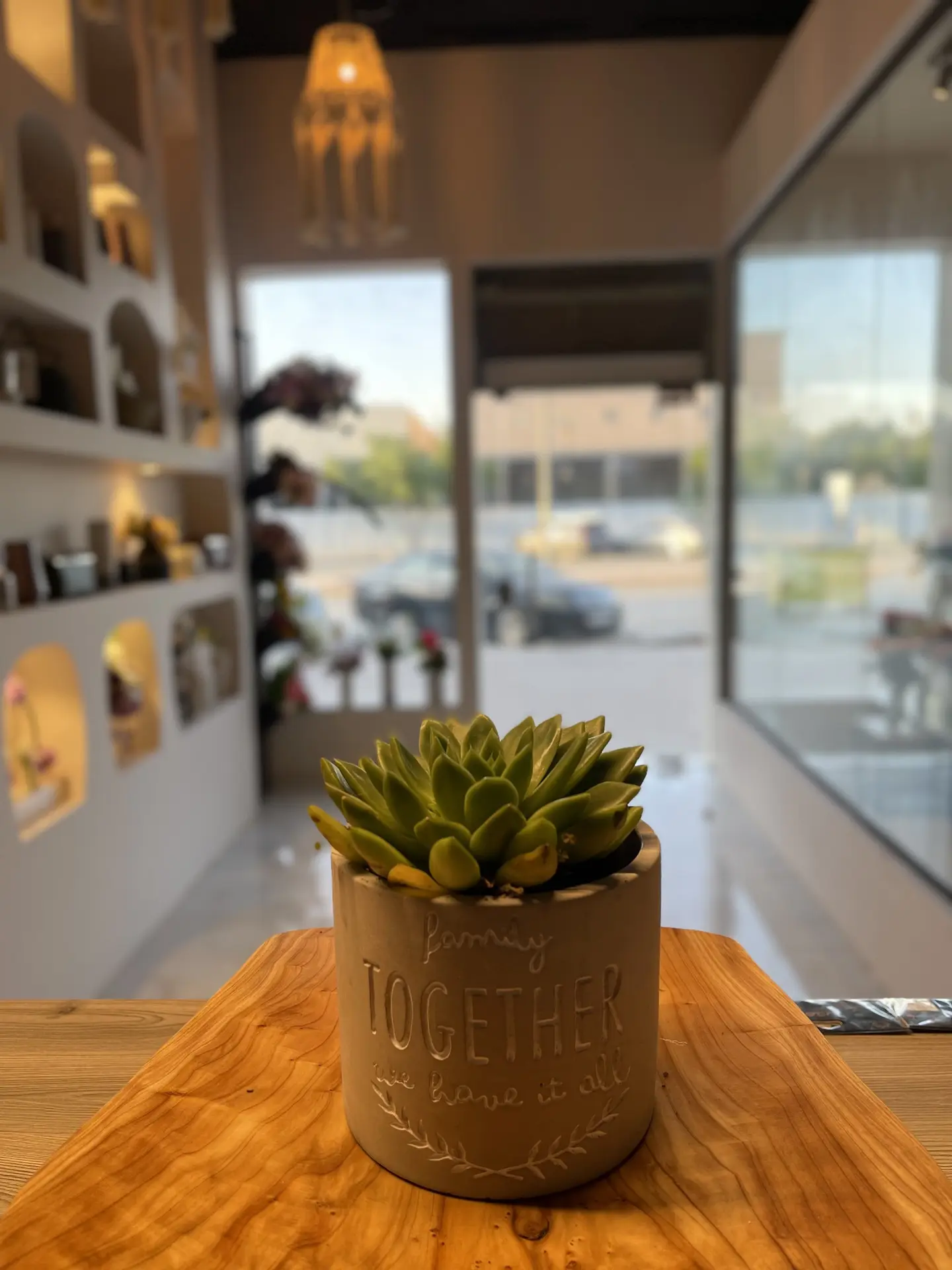نبتة الصبار نزل-04