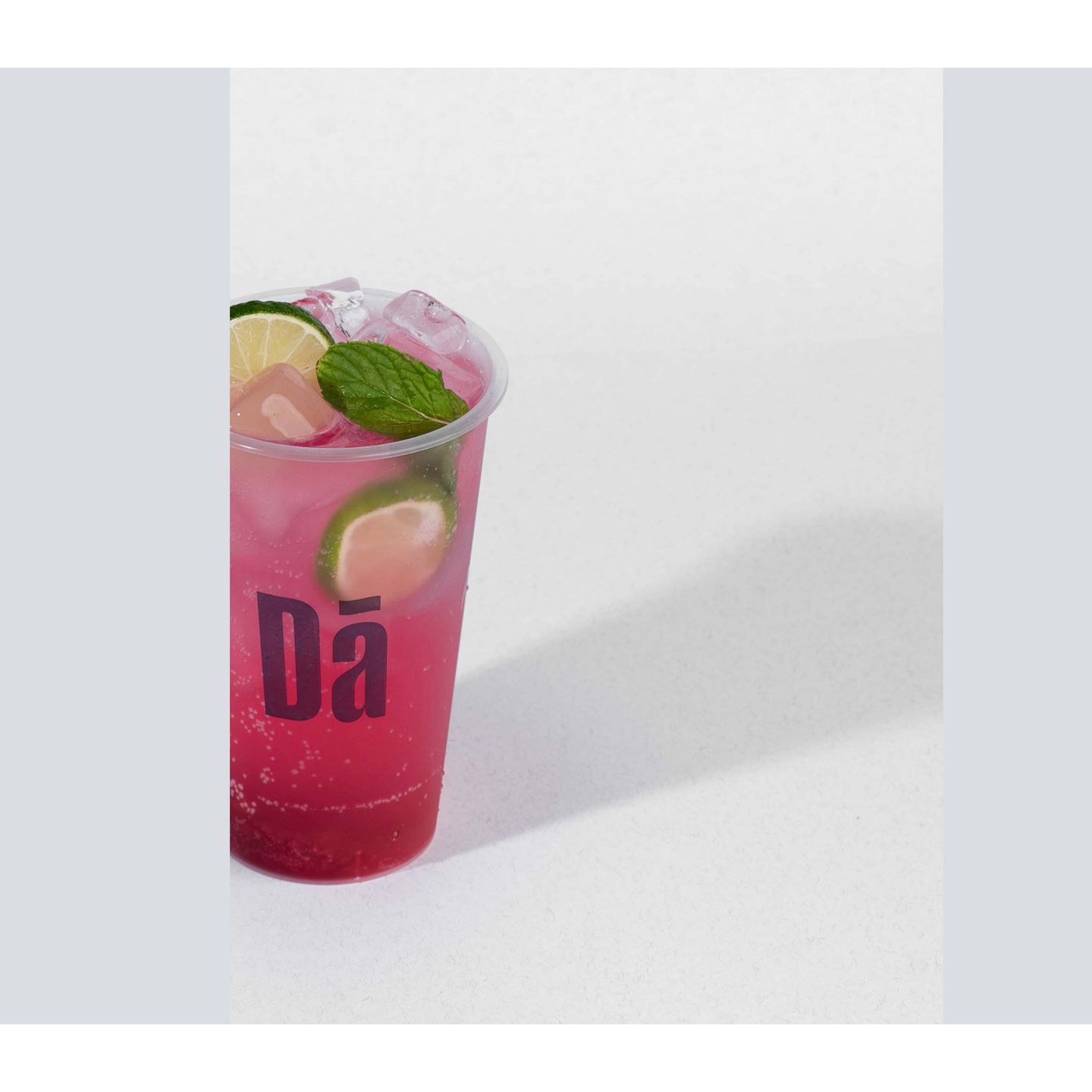 Pomegranate Mojito