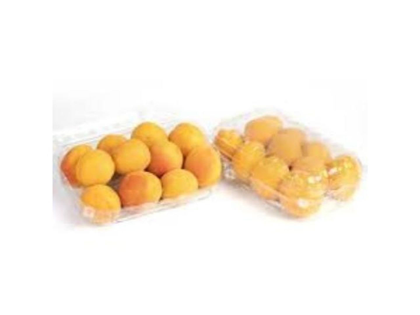 Syrian Apricot Basket