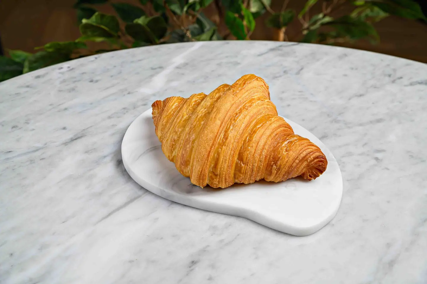 Plain Croissant