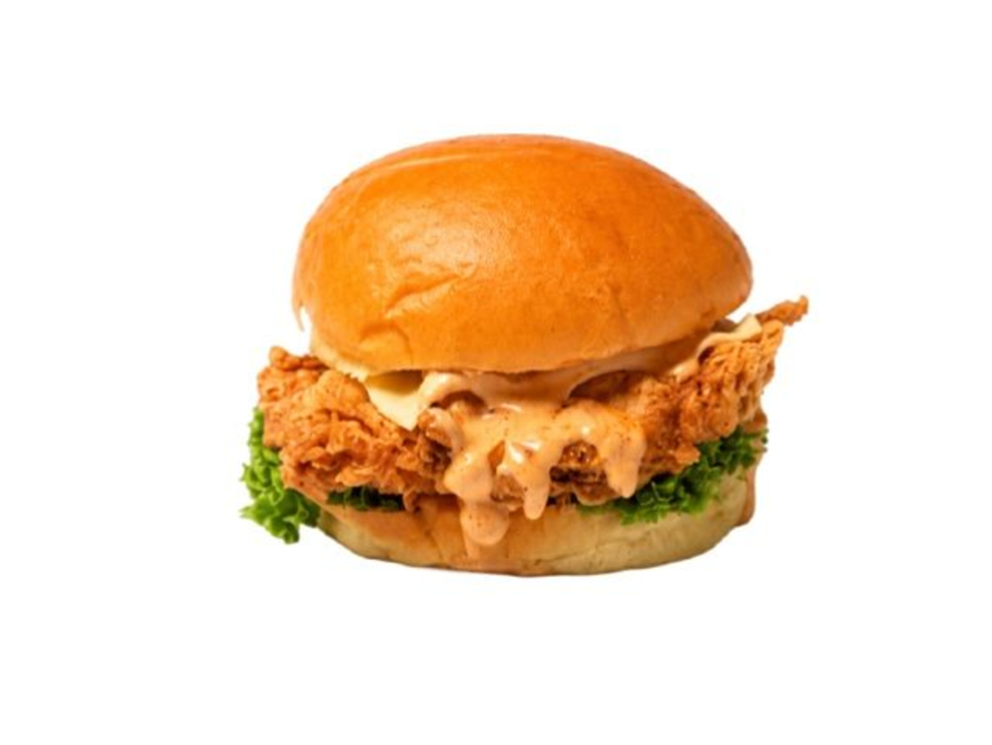 Fenz Spicy Burger