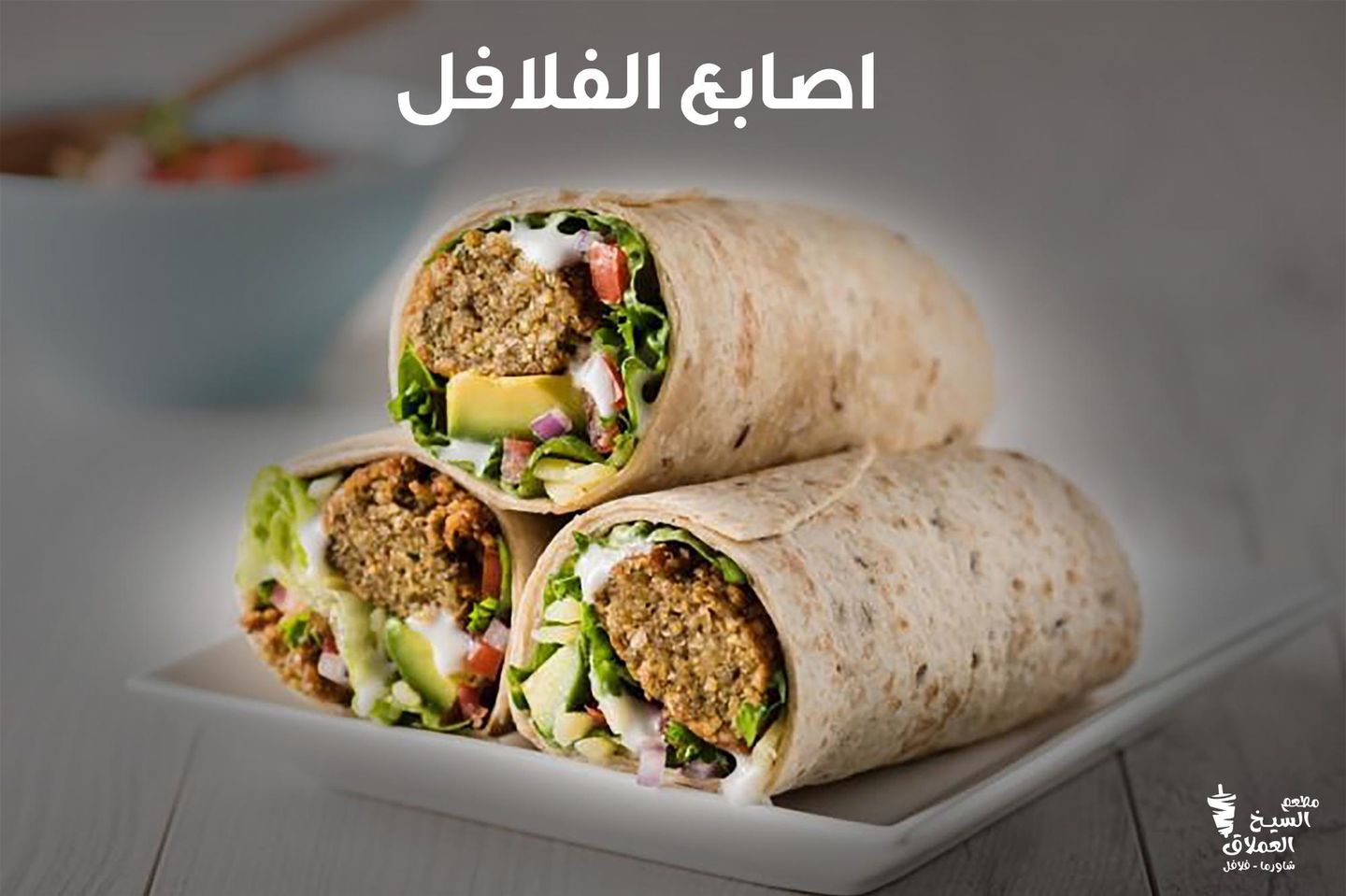 Plain Falafel Sandwich