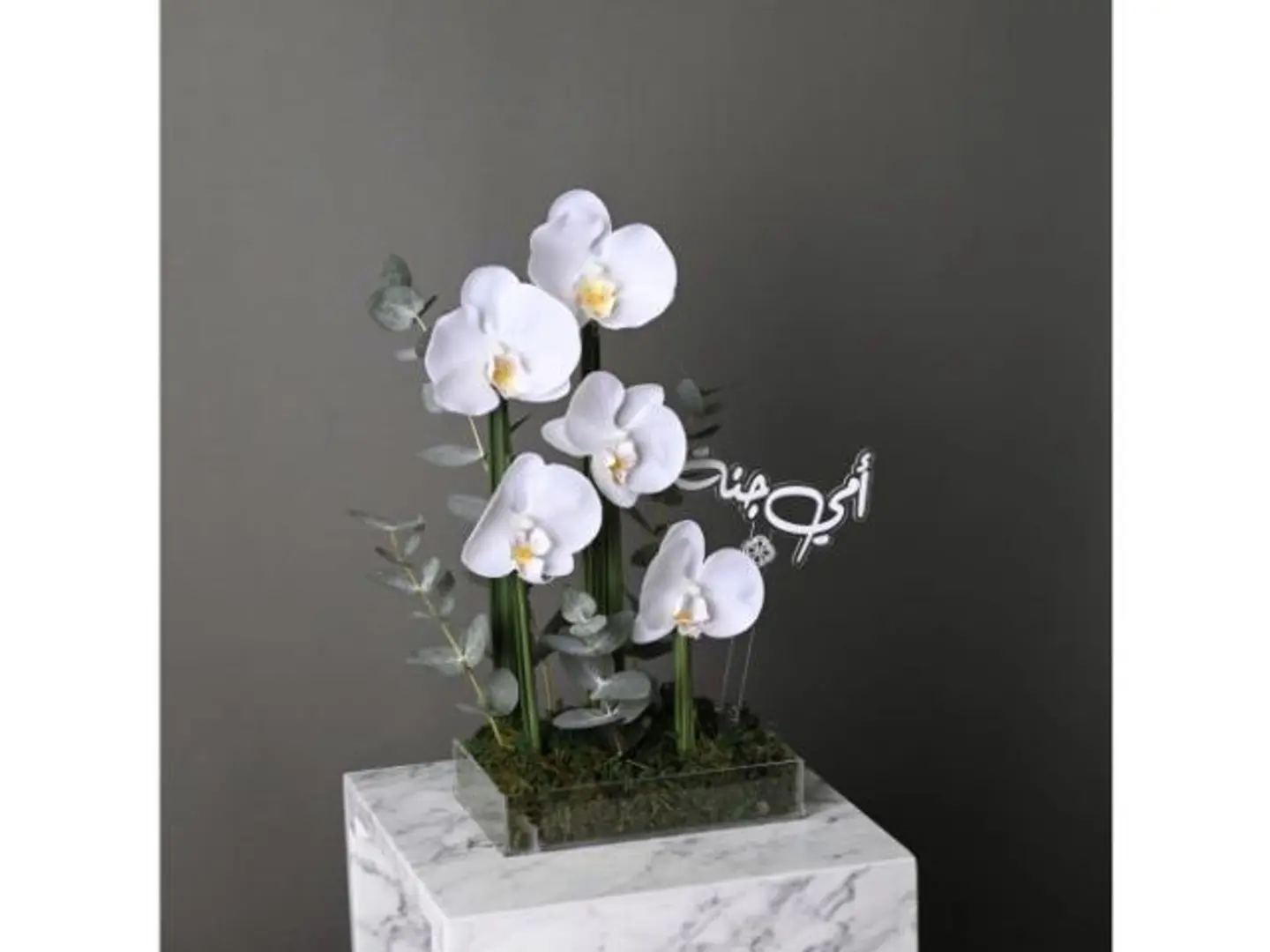 Orchid Flower And Mother Is A Paradise