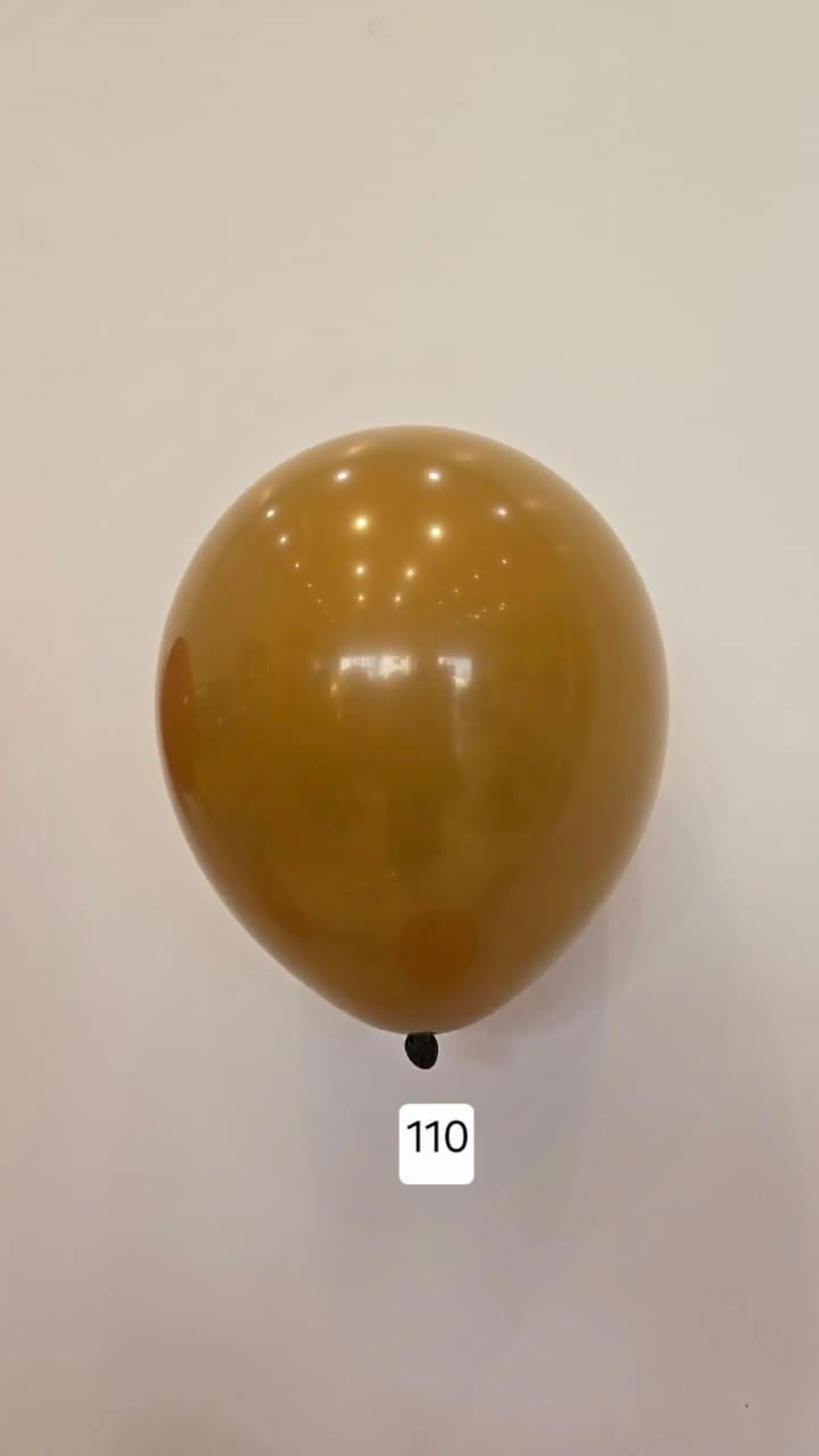 Balloon Number 110