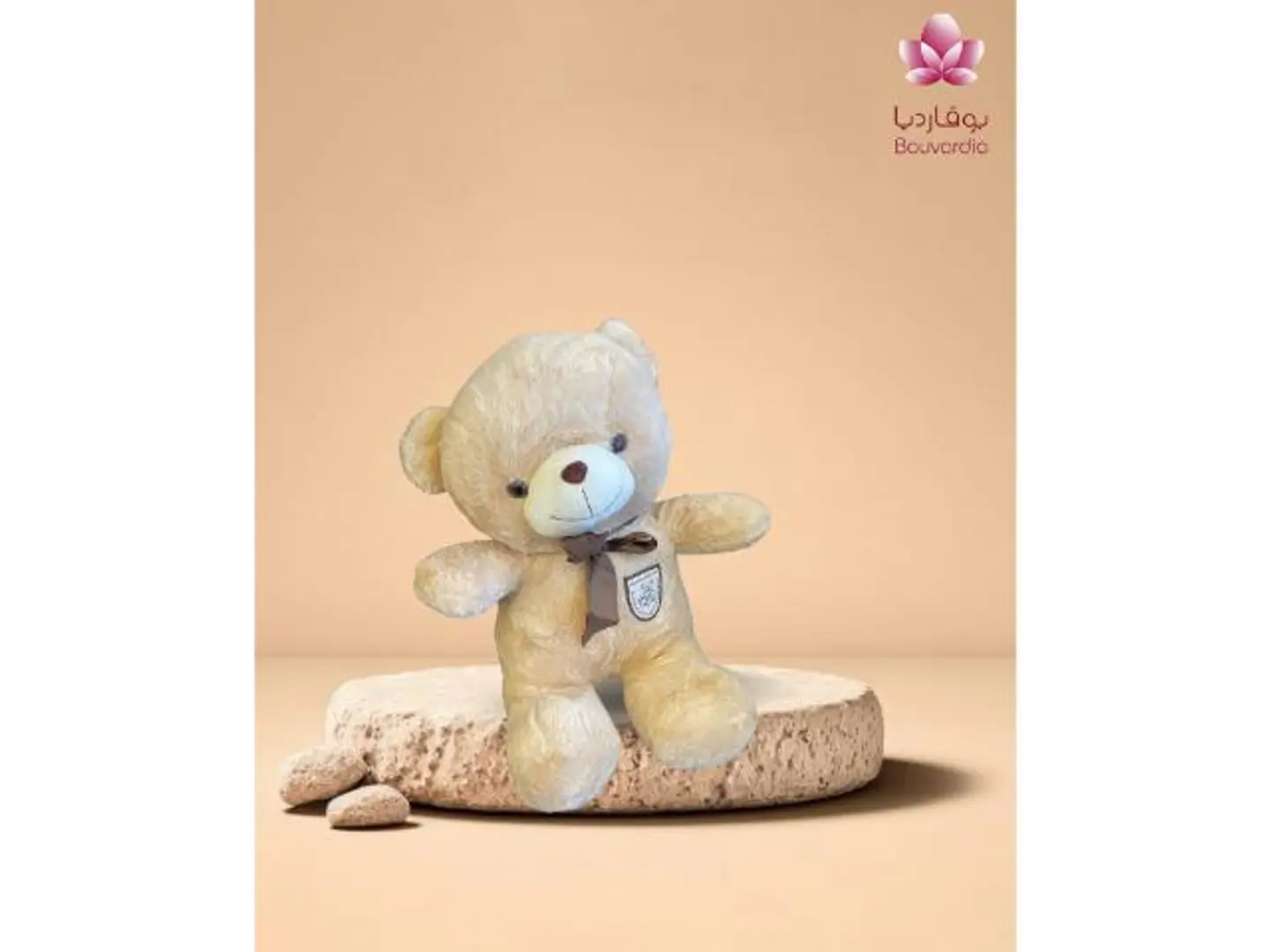 A Small Teddy Bear Off White