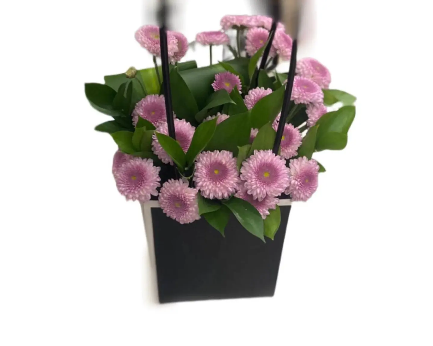 Chrysanthemum Box
