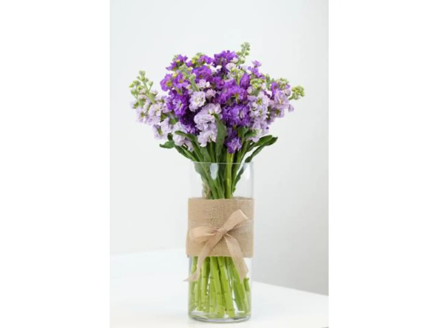 ماثيولا بلوم