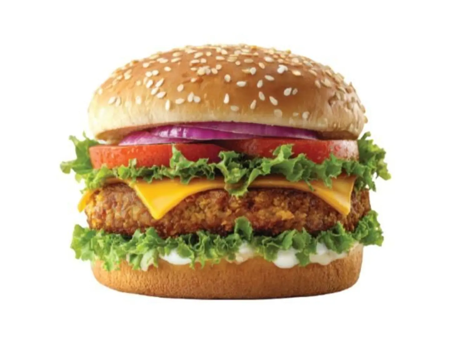 Crispy Chicken Burger