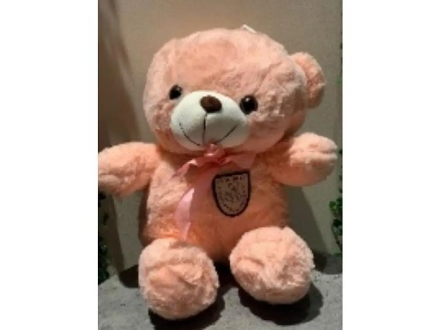 دمية دبدوب بينك