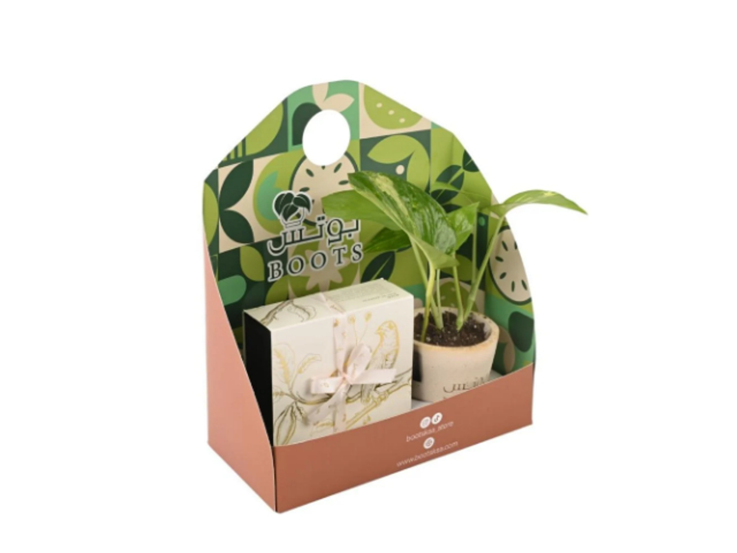 12 Potatoes Plant And Anoush Chocolate