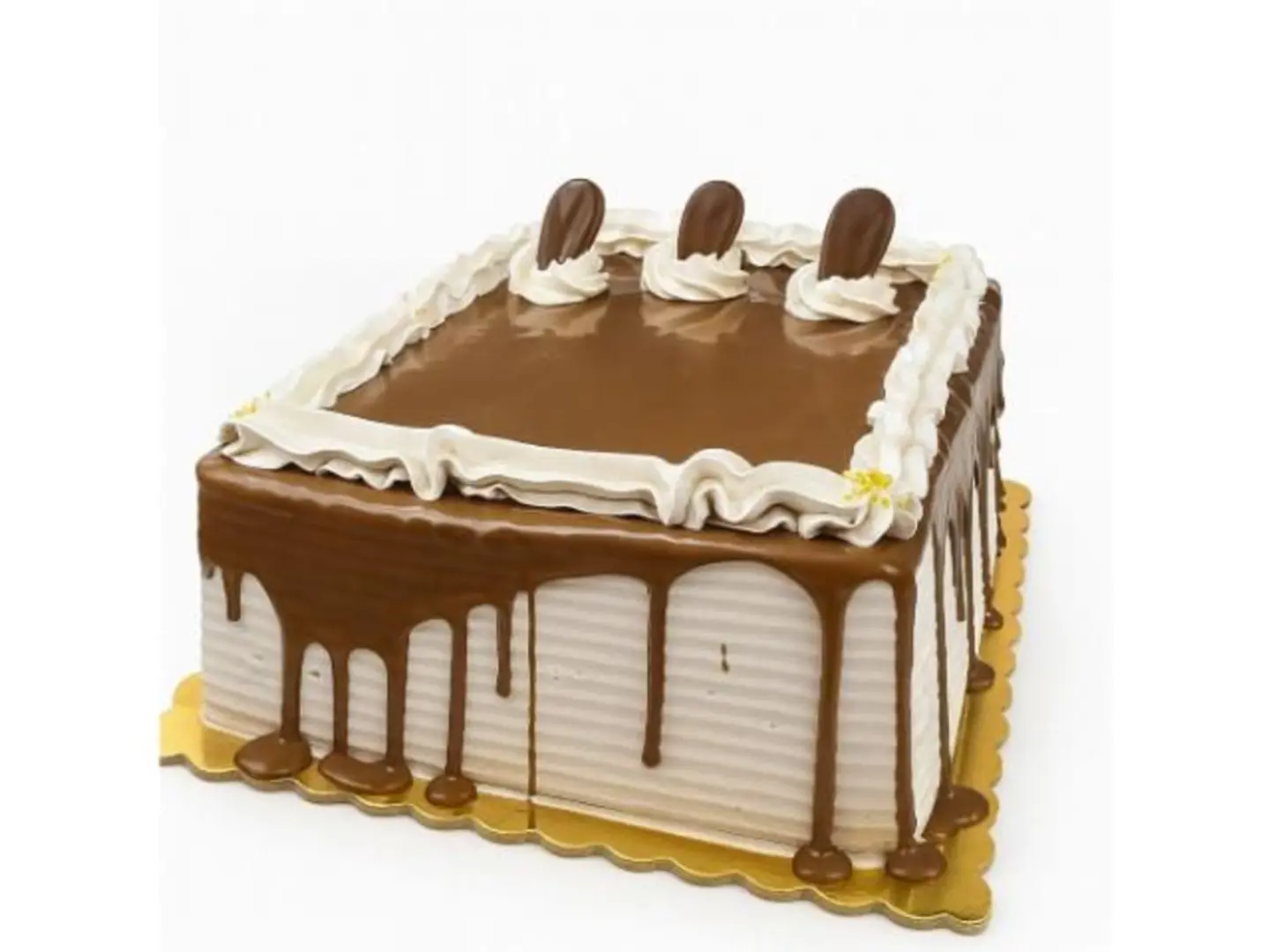 كيكة الشوكلت