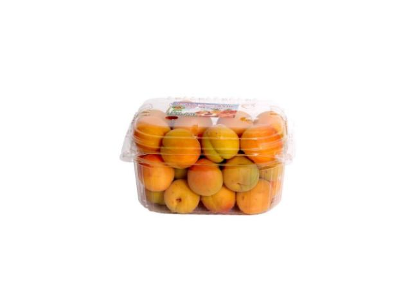 مشمش علبه