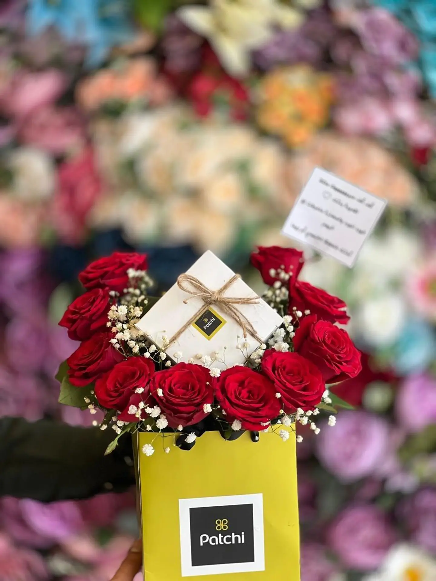 ورد احمر مع حلا باتشي