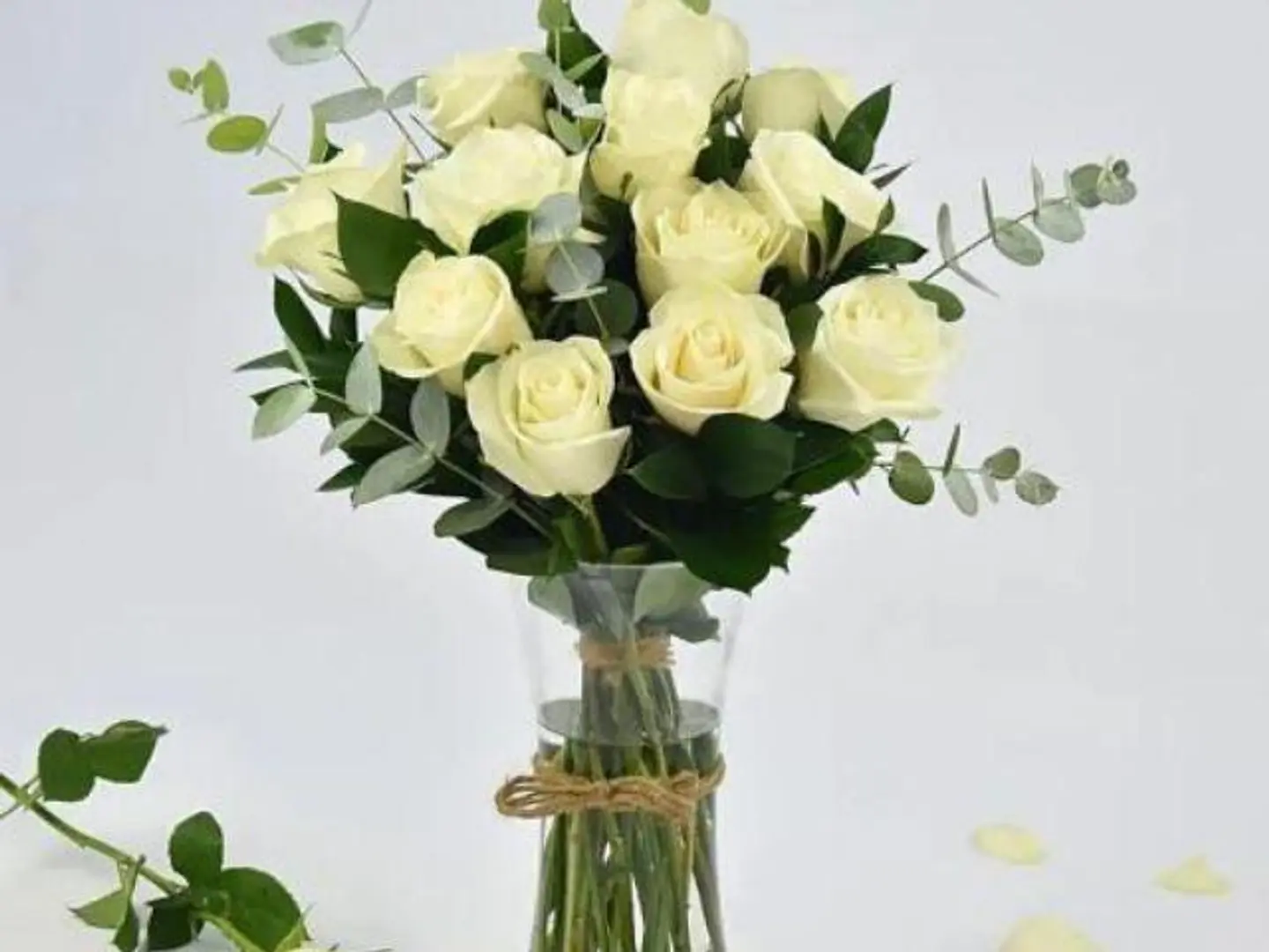 فازة أُحبك بطريقة تتعدى إدراك فهمكِ