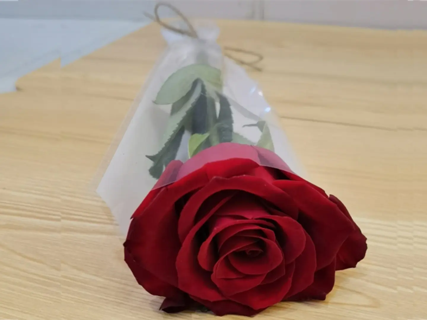 توزيعات بالحبه احمر