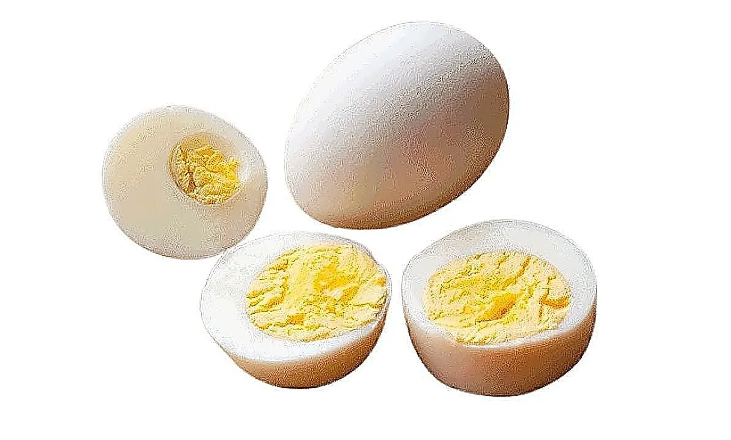 Egg