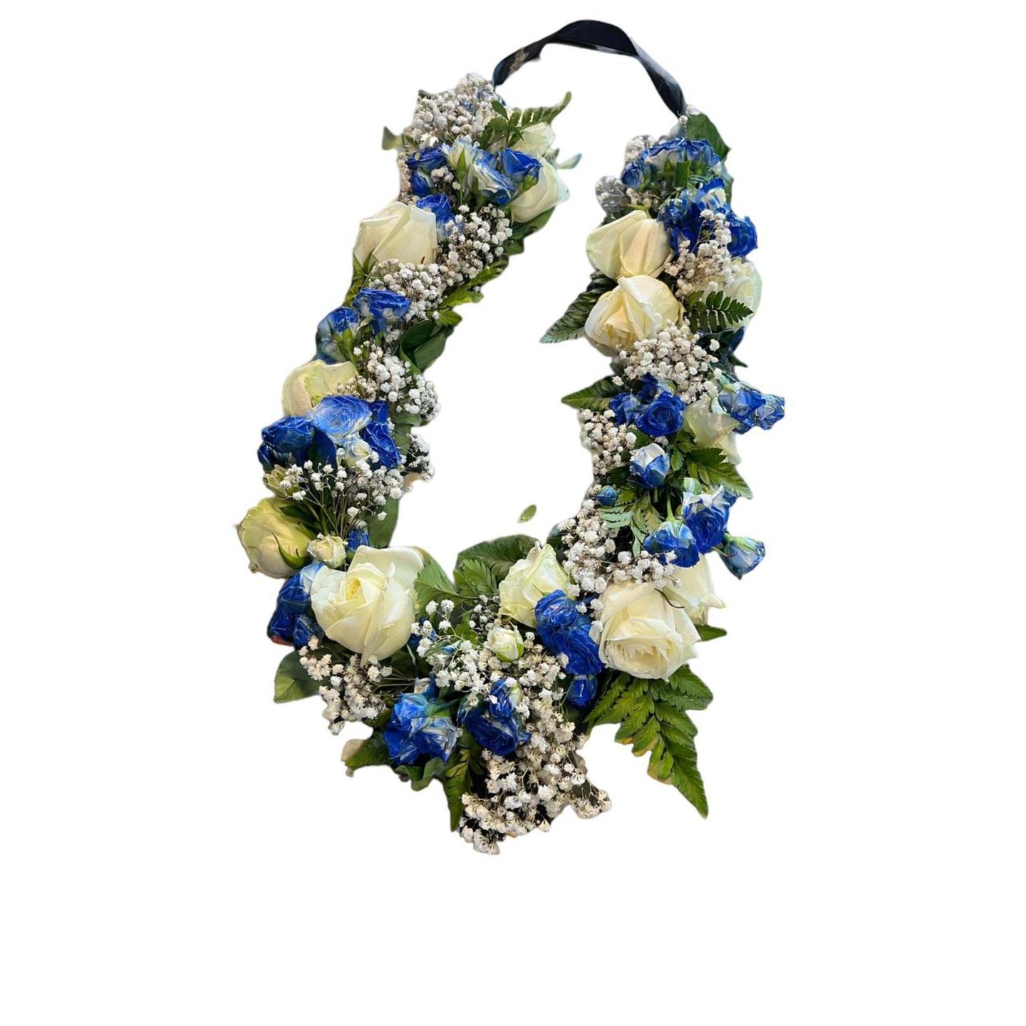 Graduation Collar Mix 2 Q