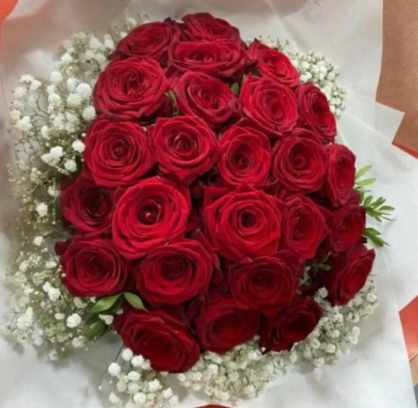 باقه احمر ساميه 9