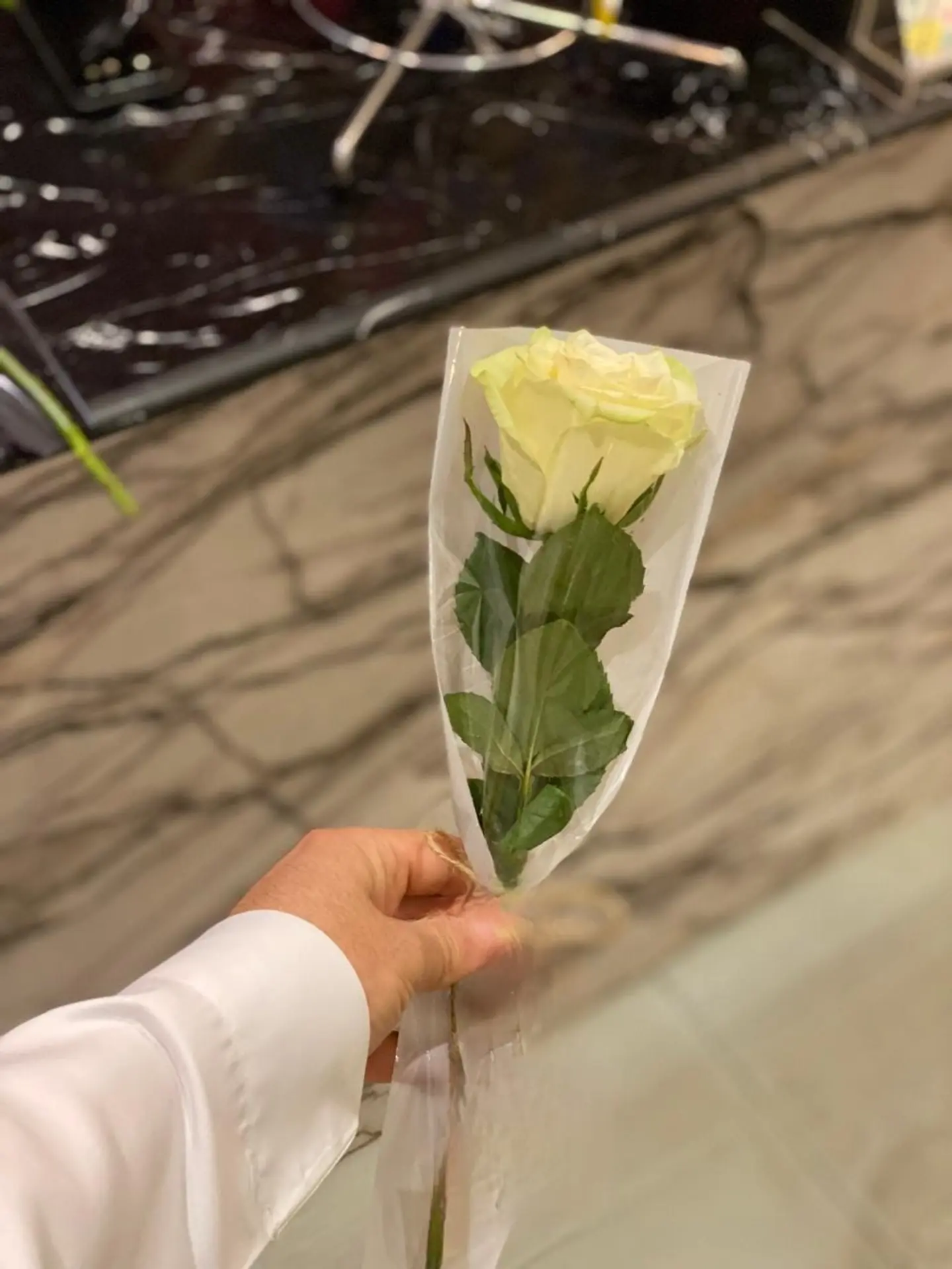 ورد جوري ابيض