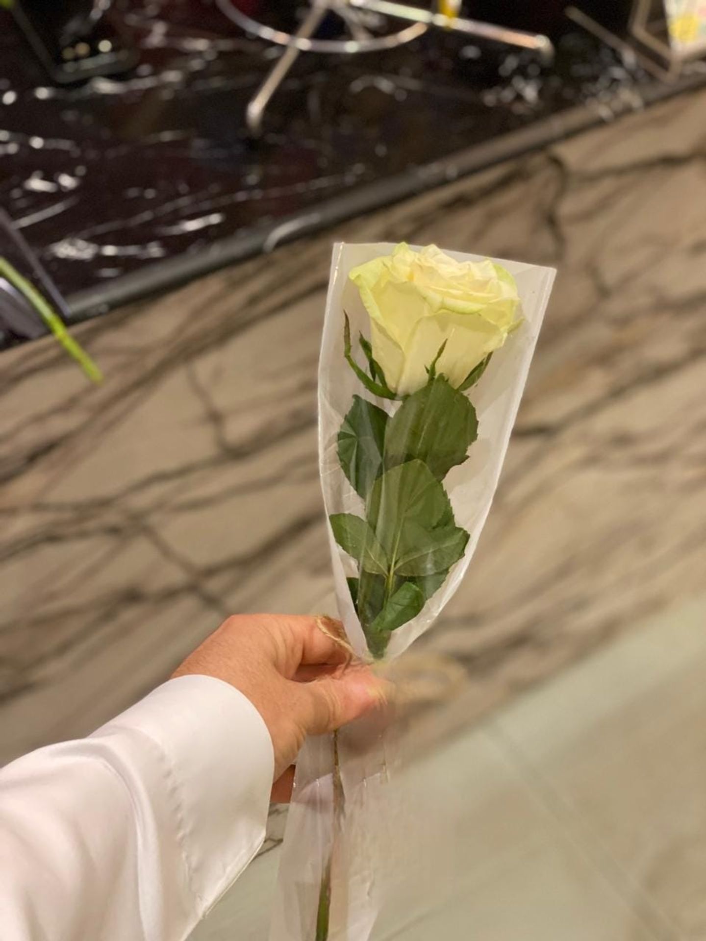 ورد جوري ابيض