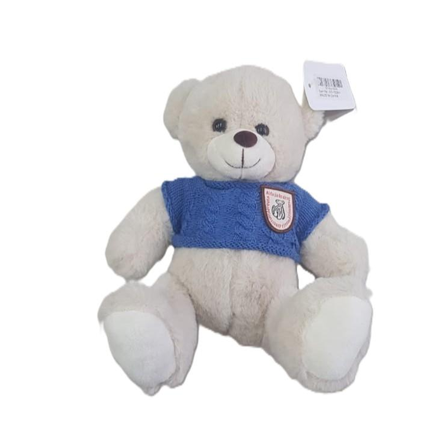 Small Blue Teddy Bear