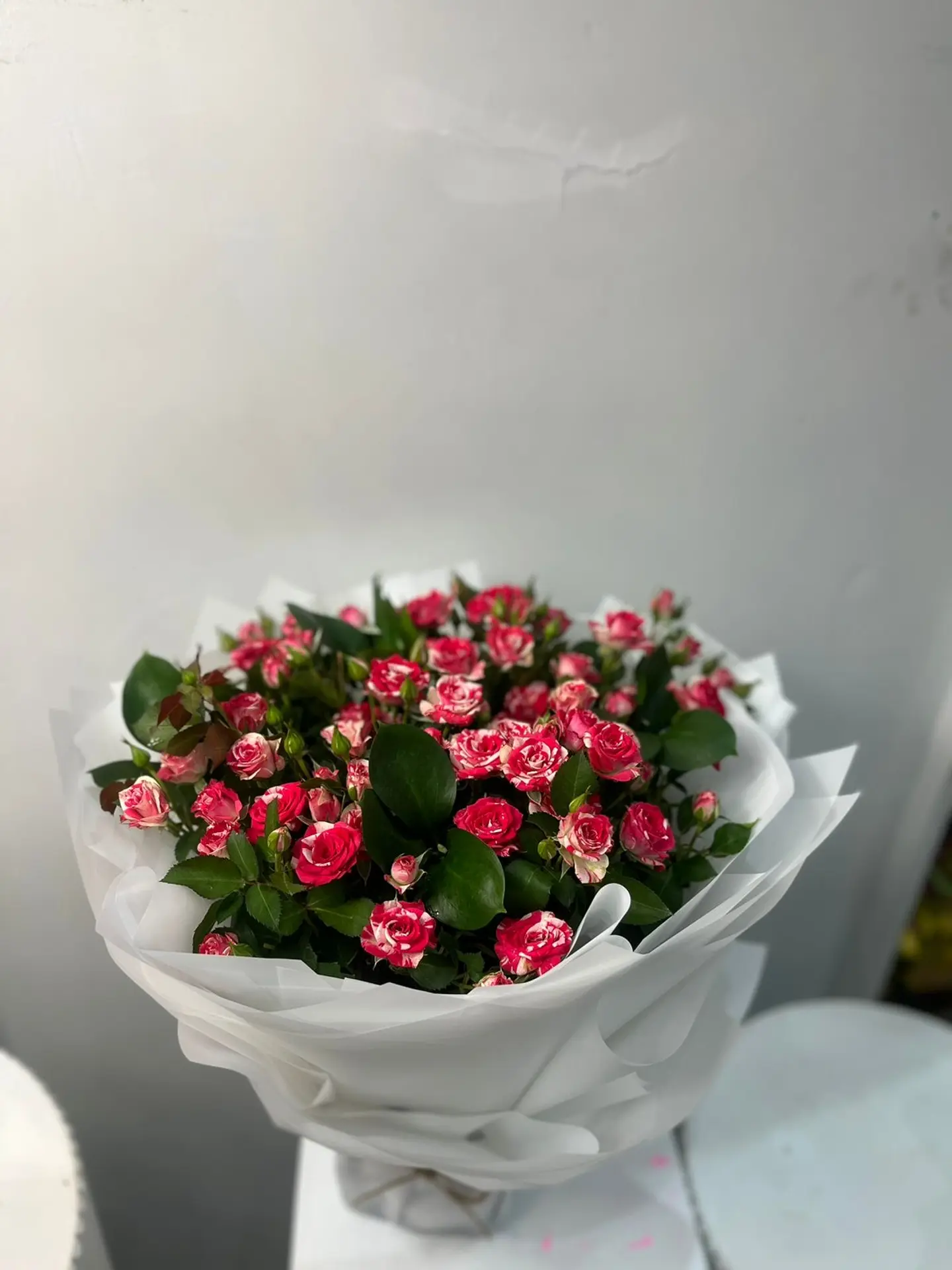 باقه بيبي جوري ١٢