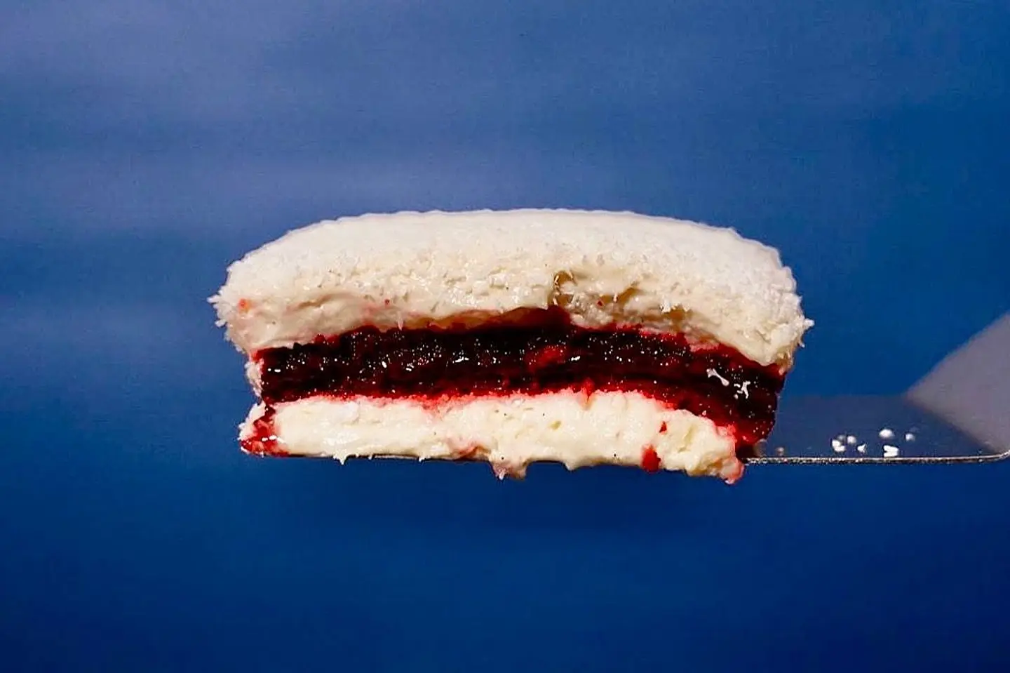 Cocoberry Cake