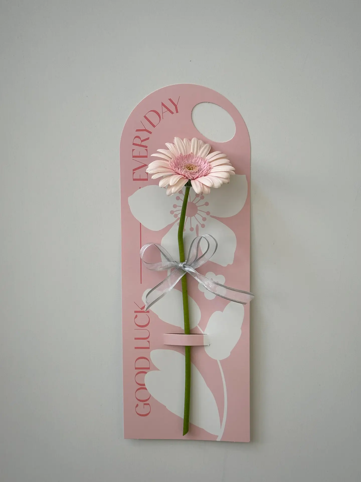 Gerbera B