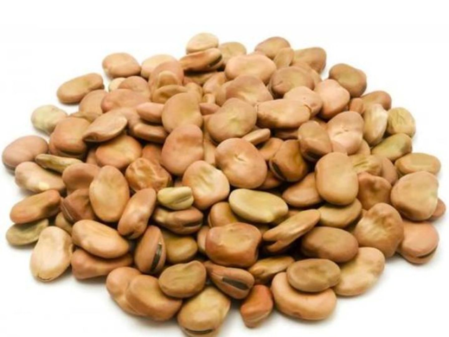 Egyptian Broad Beans