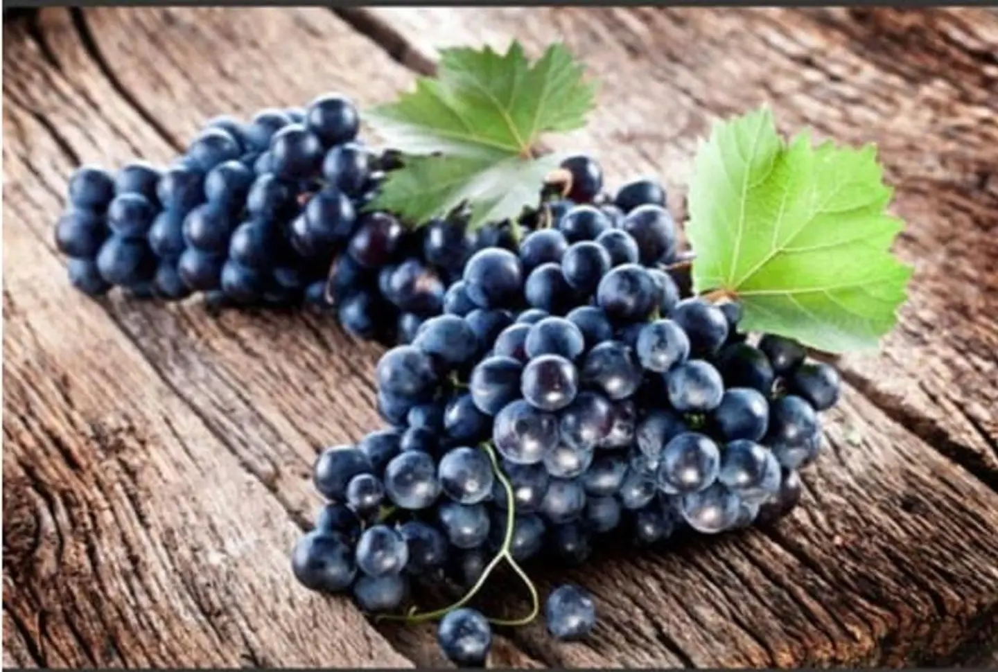 توت أسود 250 جرام