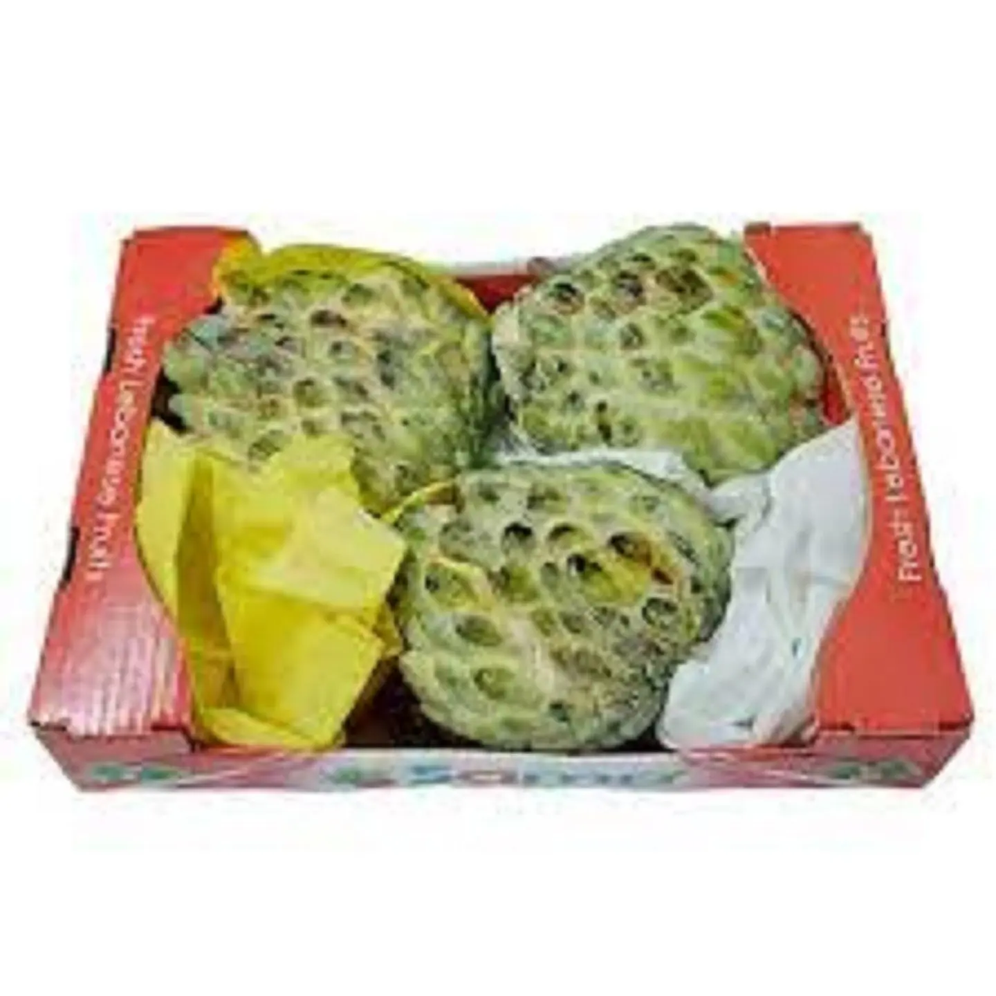 قشطه لبناني صندوق