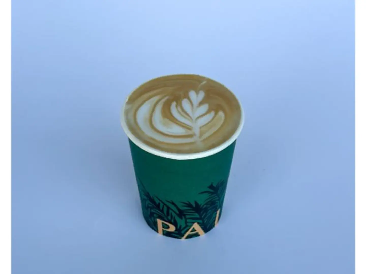 Spaghetti Latte