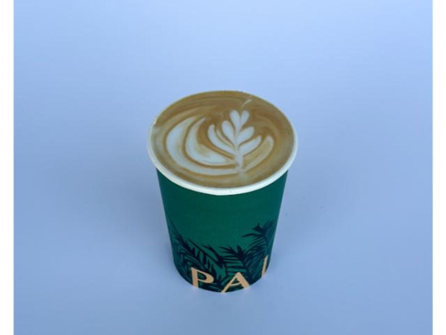 Spaghetti Latte