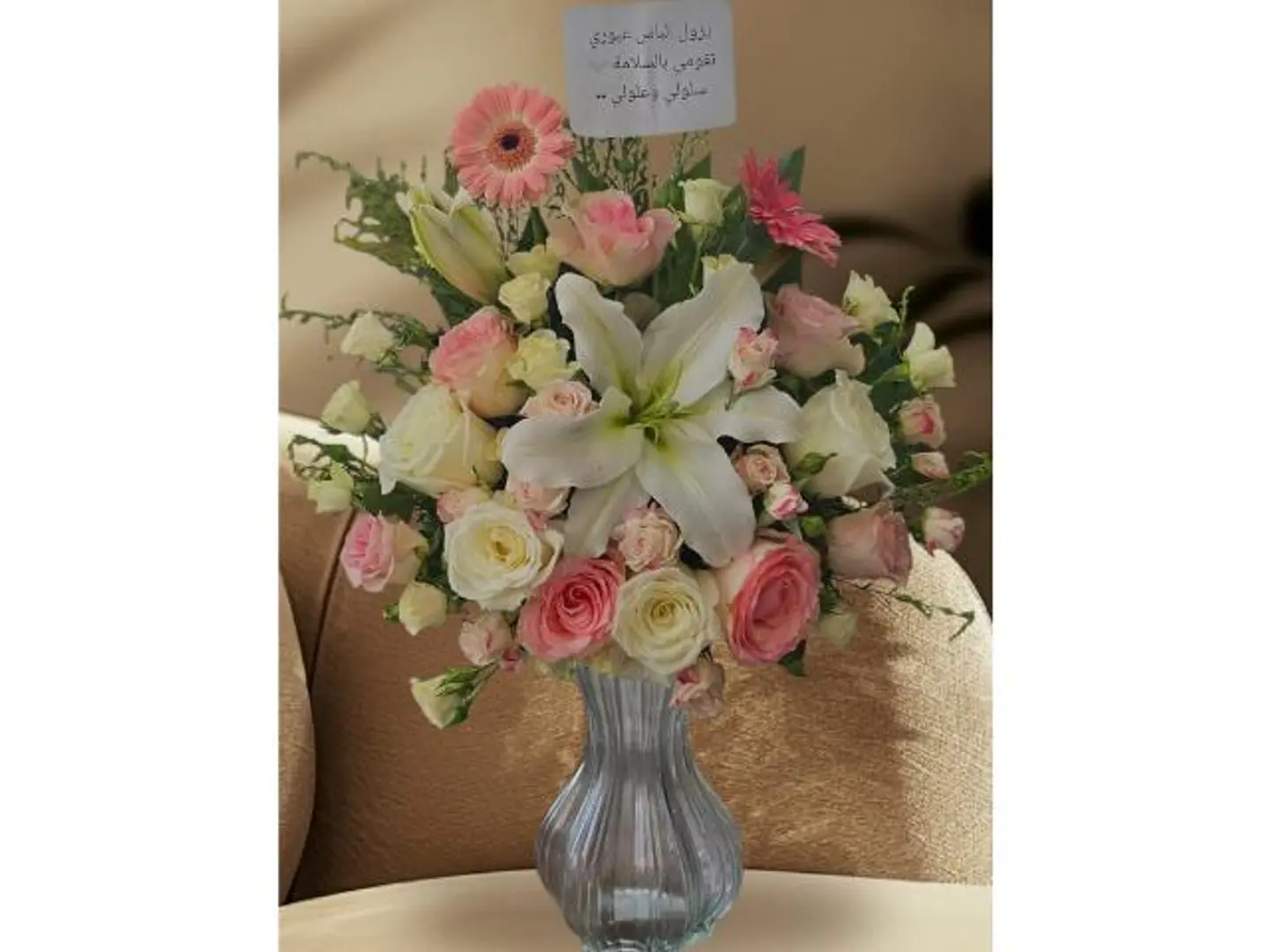 فازه الروز الموف والجلبيراء النادر