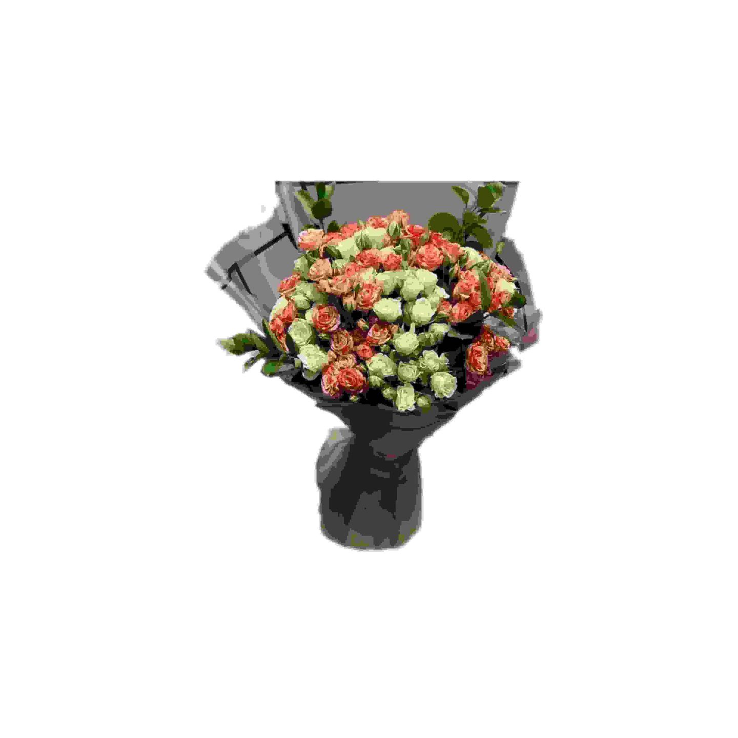 Baby Rose Package