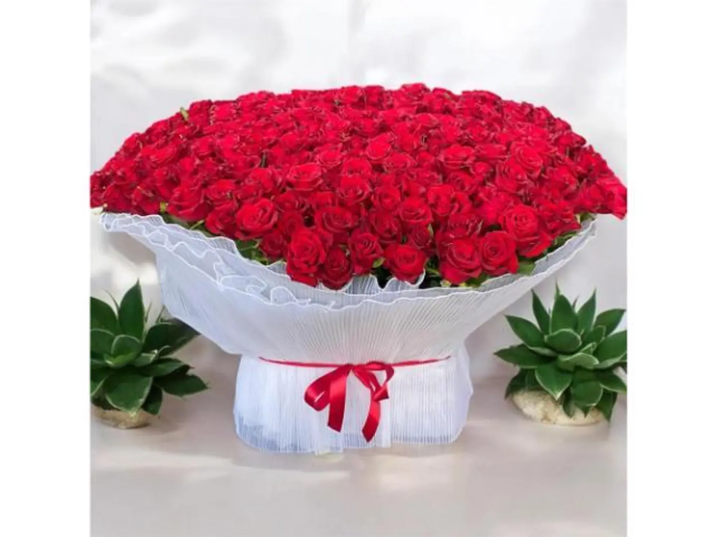 بوكيه 300ورده احمر