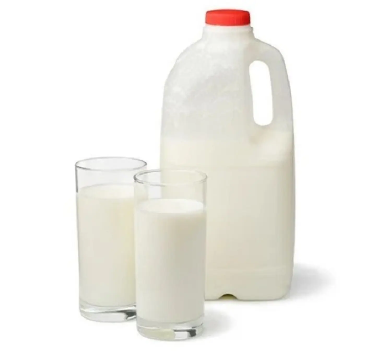 Gallon Yogurt