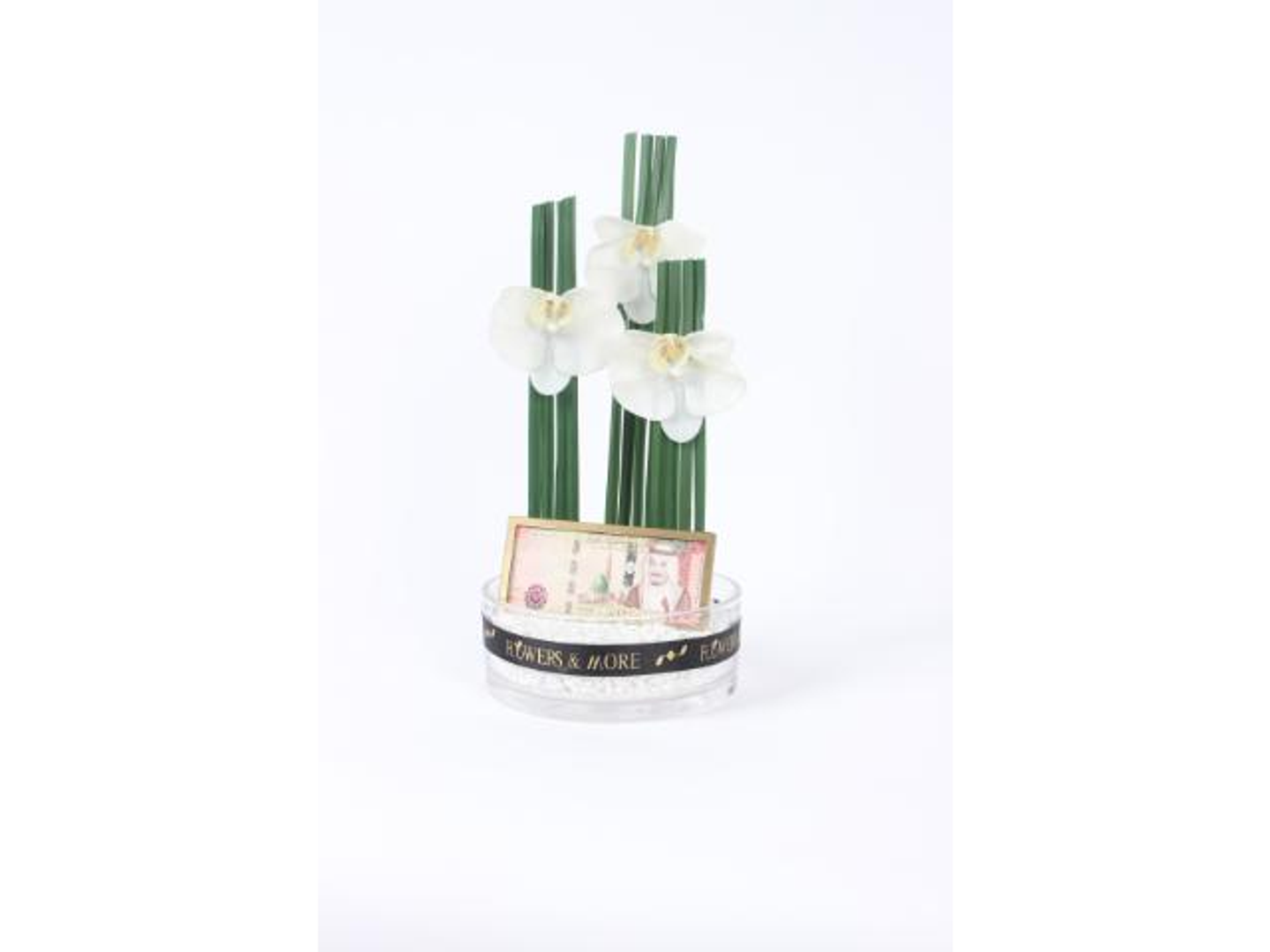 أغصان الاوركيد 2