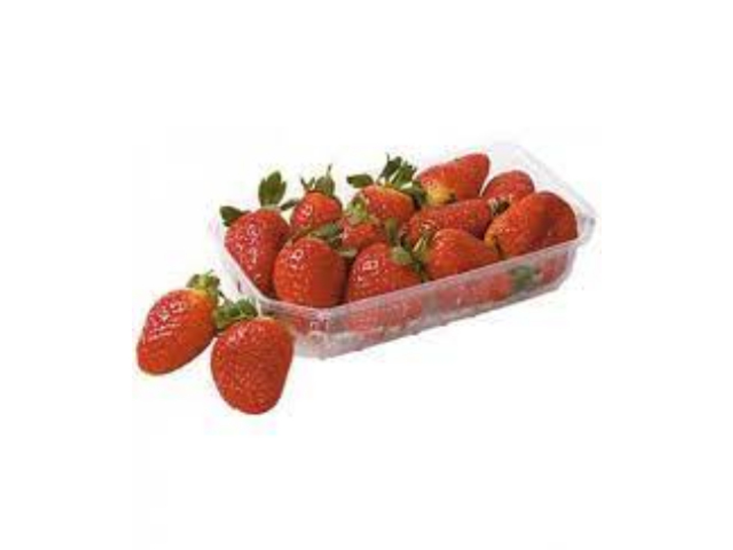 فراوله افريقي